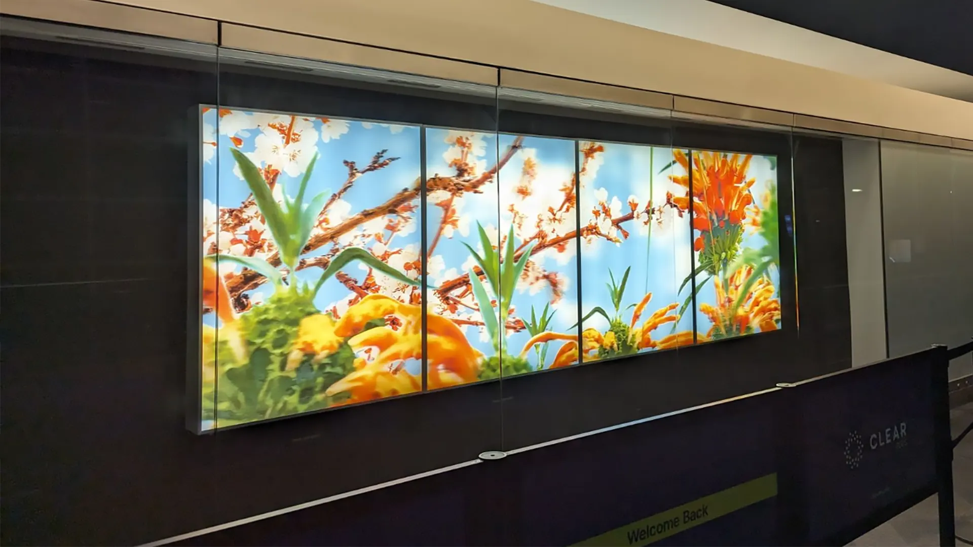 lenticular art by Robin Gibson