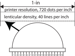 lenticular printing calculation